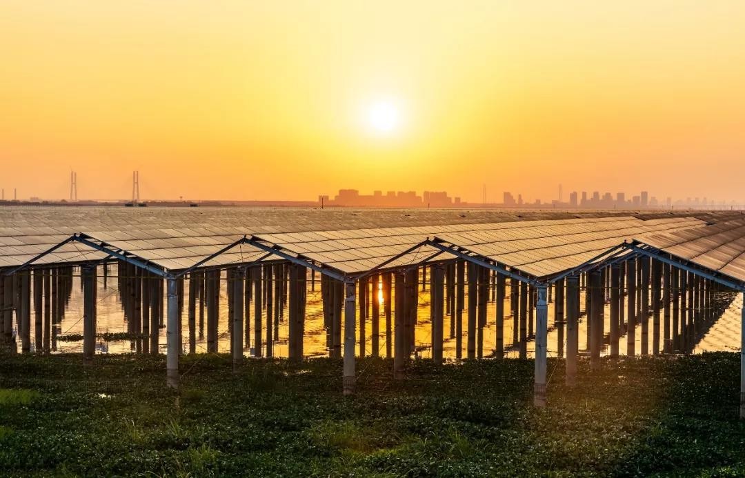 Beyond Success - www.js69.com Achieved a Preferred Scale of 1120 MW in Jiangxi